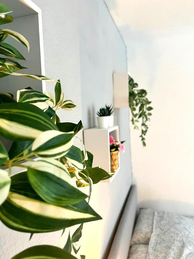 Le Revol Apartment เกรอน็อบล์ ภายนอก รูปภาพ